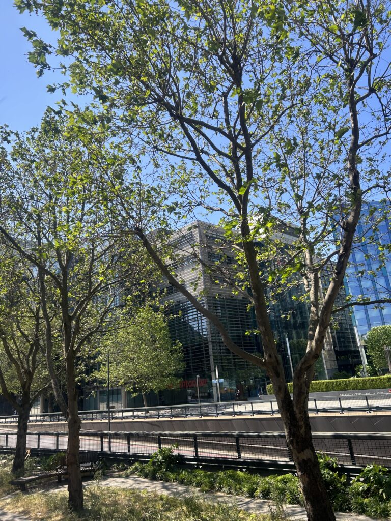 Photo taken from window of London bus. view of bright blue sky, road and trees